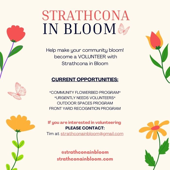 Website Ad Strathcona in Bloom (1)